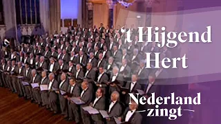 Nederland Zingt: Psalm 42 - 't Hijgend Hert