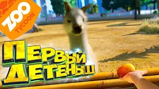 Первый Детёныш в ЗООПАРКЕ - Прохождение #2 - ZOO Tycoon