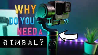 GoPro Gimbal. The best I've Seen... but WHY?