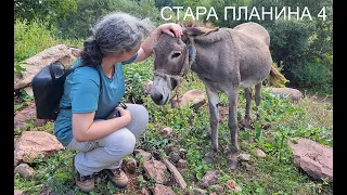 Stara Planina 4