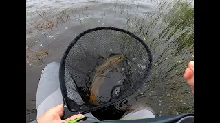 Fly Fishing Little Pine Lagoon, Tasmania