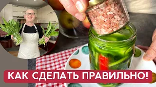 Чудо продукт доступный только Две недели в году / Ферментированная черемша вкусно, полезно, просто!