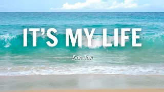 It's My Life - Bon Jovi (Lyrics)