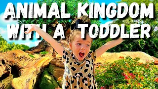 Best Things to do with a Toddler at Animal Kingdom