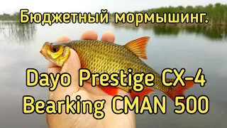 Бюджетный комплект для мормышинга.  Спиннинг Dayo Prestige CX-4 Travel и катушка Bearking CMAN 500.