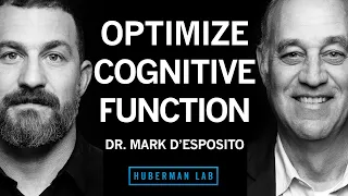 Dr. Mark D'Esposito: How to Optimize Cognitive Function & Brain Health