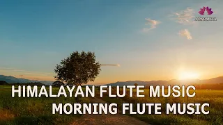 Morning Flute Music | Himalayan Flute Music | Meditation Music | (बाँसुरी) Aparmita Ep. 142