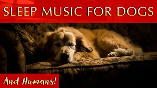 Calming Sleep Music for Dogs to Sleep FAST | And Humans!