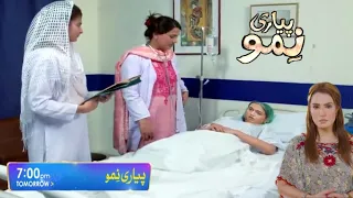 Pyari Nimmo Episode 41 Promo | Teaser | Pyari Nimmo Episode 41 & 42 | Har Pal Geo | Haseeb helper