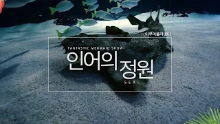 아쿠아플라넷63 동화처럼 아름다운 인어의 정원!(60초 ver.)