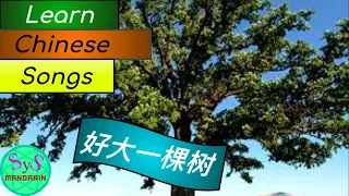 410 Learn a Chinese song | 好大一棵树 (A giant tree) | Learn Chinese with sample sentences