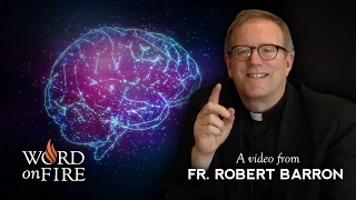 Bishop Barron on Conscience and Morality