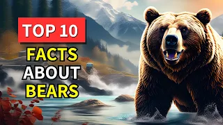 Bear! 10 Amazing Facts You Didn't Know About!