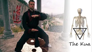 How to sit into the Kua & sink your Qi - Qigong & Taijiquan basics