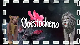 WCMV : Obestocheno