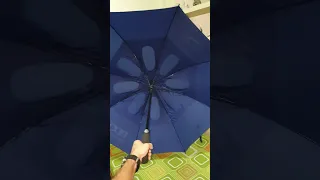 HONEST review of this Golf Umbrella