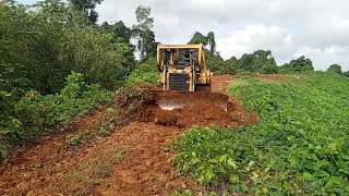 Excellent CATERPILLAR BULLDOZER D6R XL repairs plantation roads on the mountain