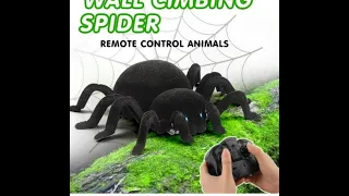 GizmoVine Remote Control Wall Climbing Spider with LED eyes