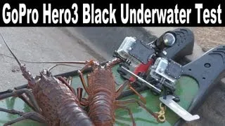 GoPro Hero 3 Black vs GoPro Hero 2 Underwater Comparison - Shallow Water Tests