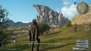 Final  Fantasy XV Adamantoise glitch