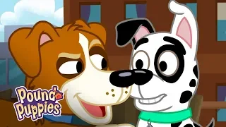 'I Double Pup Dare You!' Official Clip | Pound Puppies Season 3
