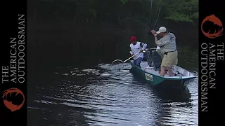 AO Vault - Peacock Bass in Brazil