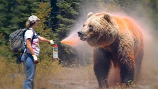 Hiker Uses Bear Spray on Grizzly, But Instantly Regrets It