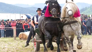 Parada cailor Marginea - Bucovina 4 Iunie 2023