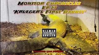 Monitor Chronicles EP.13 (Krueger’s First Rabbit) 🦖🐇| ⚠️Warning Live Feeding⚠️