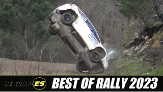 Best of Rally 2023 | BIG CRASH & MISTAKES