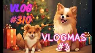 VLOG #310  🌟🌲🌟 VLOGMAS #03 🌟🌲🌟 JEU DE DEVINETTES DE PERSOS DISNEY 🌟🌲🌟 #VLOG