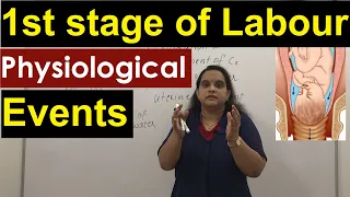 Events in the First stage of Labour | Physiology in 1st stage of Normal Labour | Nursing Lecture