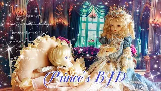 Wonderland (56)🍃~Prince's BJD Collection (女王永別)