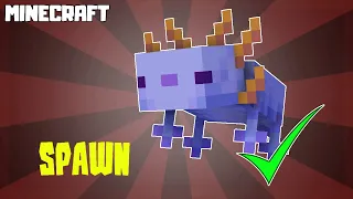 MINECRAFT | How to Spawn Rare Blue Axolotl