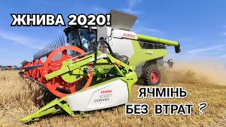 Уборка ячменя 2020! Комбайн Claas Lexion 7700. Потери, измельчение соломы, выгрузки зерна