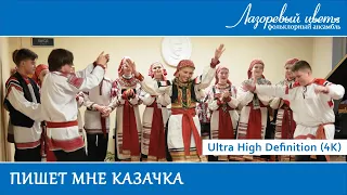 Пишет мне казачка (Лазоревый цвет, старшая группа)