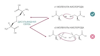Как Olaplex соединяет дисульфидные связи