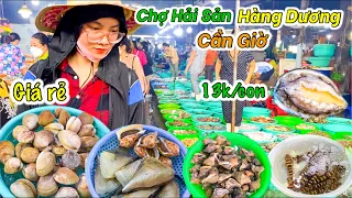 Cùng Người Đẹp Đi Chợ Hải Sản Nổi Tiếng Nhất Cần Giờ | Khởi Nghiệp Bằng Một Tủ Mực Khô