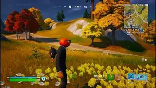 Fortnite glitch