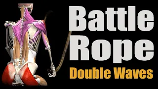 Battle Rope Double Waves | Full anatomical analysis