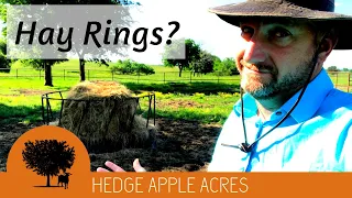 Feeding Round Hay Bales without a Hay Ring