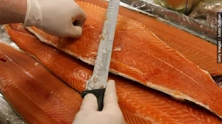 Wild-Caught Salmon Isn't So Wild After All - Newsy