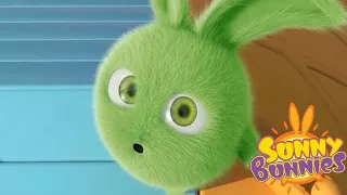 Sunny Bunnies | Avalanche de coelhos | Desenhos animados | WildBrain em Português