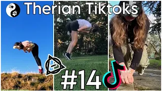 Therian Tiktoks #14