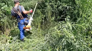 stihl fs 560 c-em when clearing