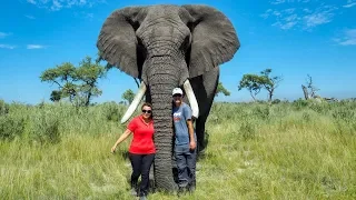 Our Amazing Morning with Two Orphan African Elephants