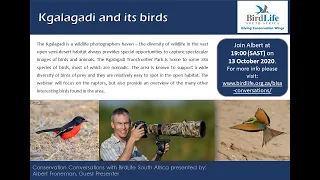 Conservation Conversations: Albert Froneman - Birds of the Kgalagadi (13Oct20)