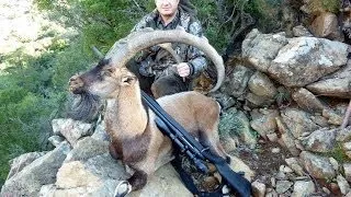 Bezoar Ibex Hunting in Turkey - Recep Ecer - Ahmet Özkayan