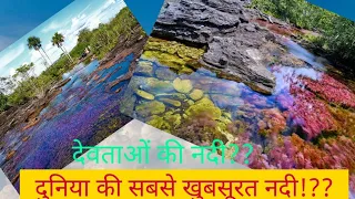 Caño Cristales /River of 5 colours / Liquid 🌈/Most beautiful river  by fun with facts