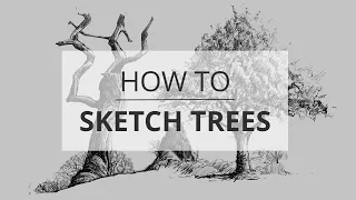 How to Sketch & Draw Trees